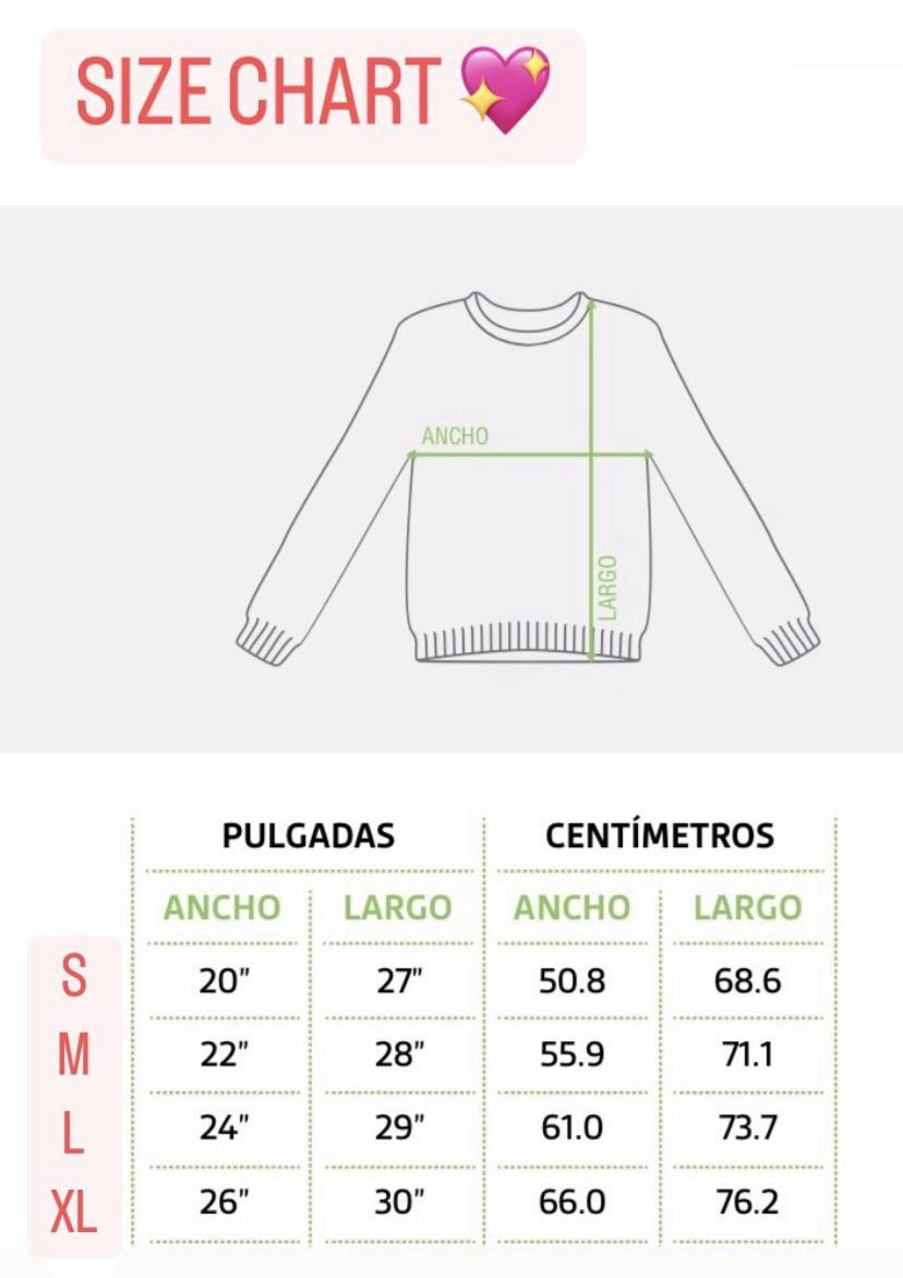 ASTRO embroidered Sweatshirt