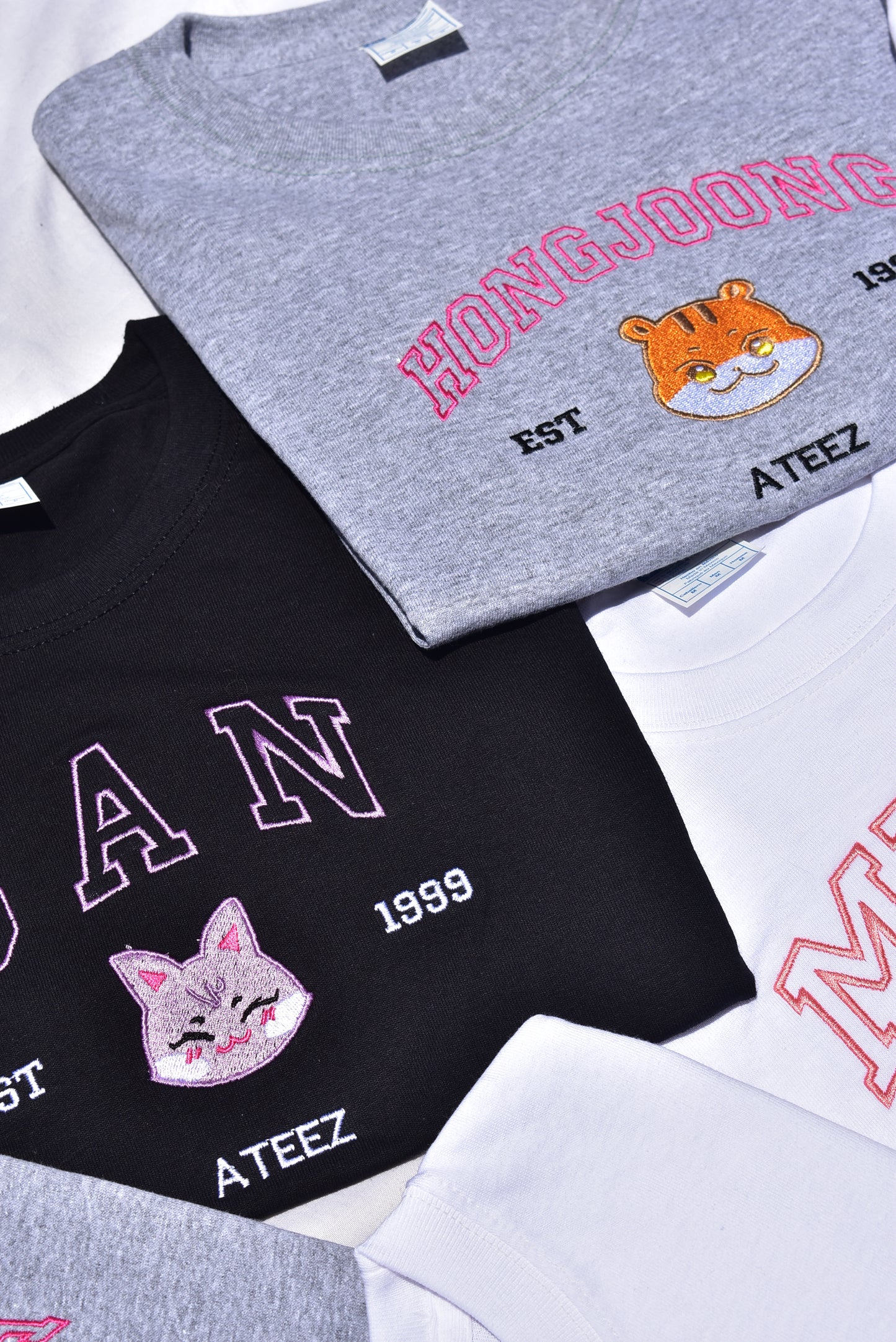 ANITEEZ EMBROIDERED SWEATSHIRT
