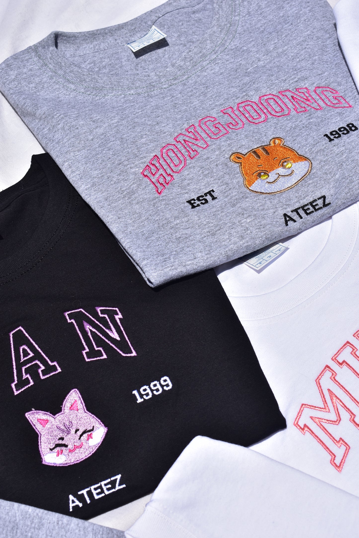 ANITEEZ EMBROIDERED SWEATSHIRT